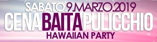 Cena baita Pulicchio Hawaiian Party