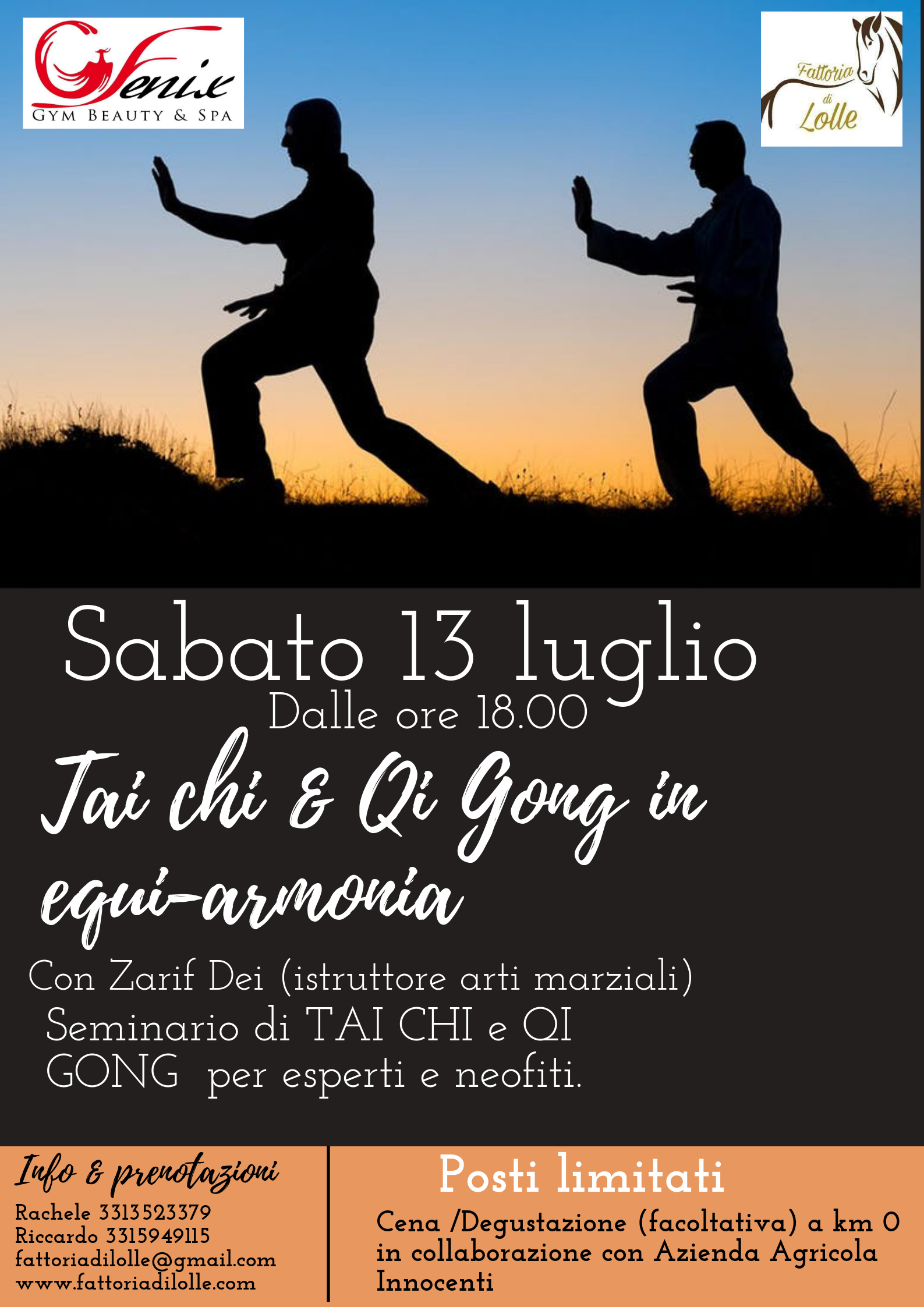 Tai chi & Qi Gong in equi-armonia