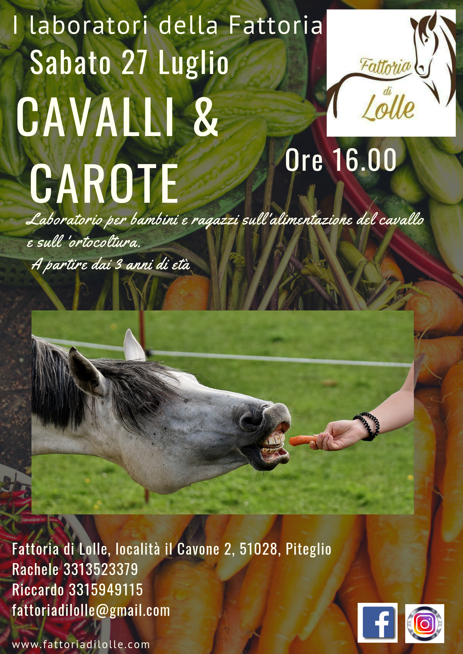 Cavalli & Carote-Workshop sull’ortocoltura