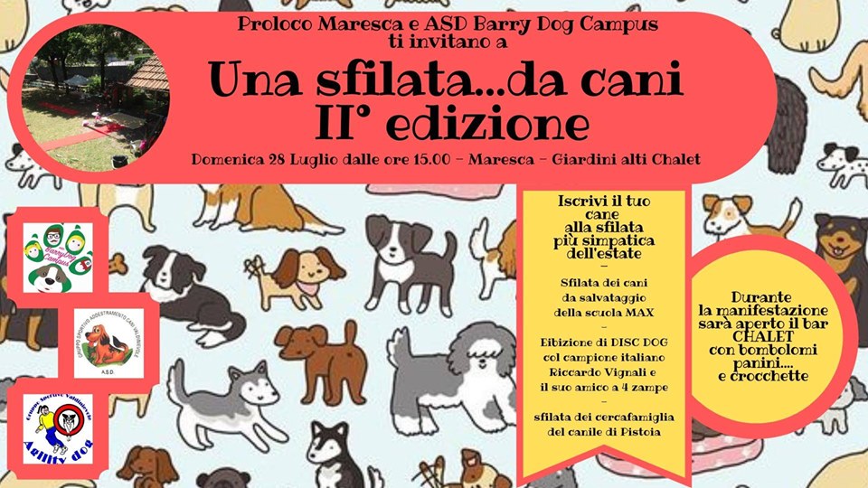 Una sfilata da cani – II° Edizione