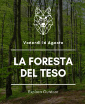 La foresta del Teso