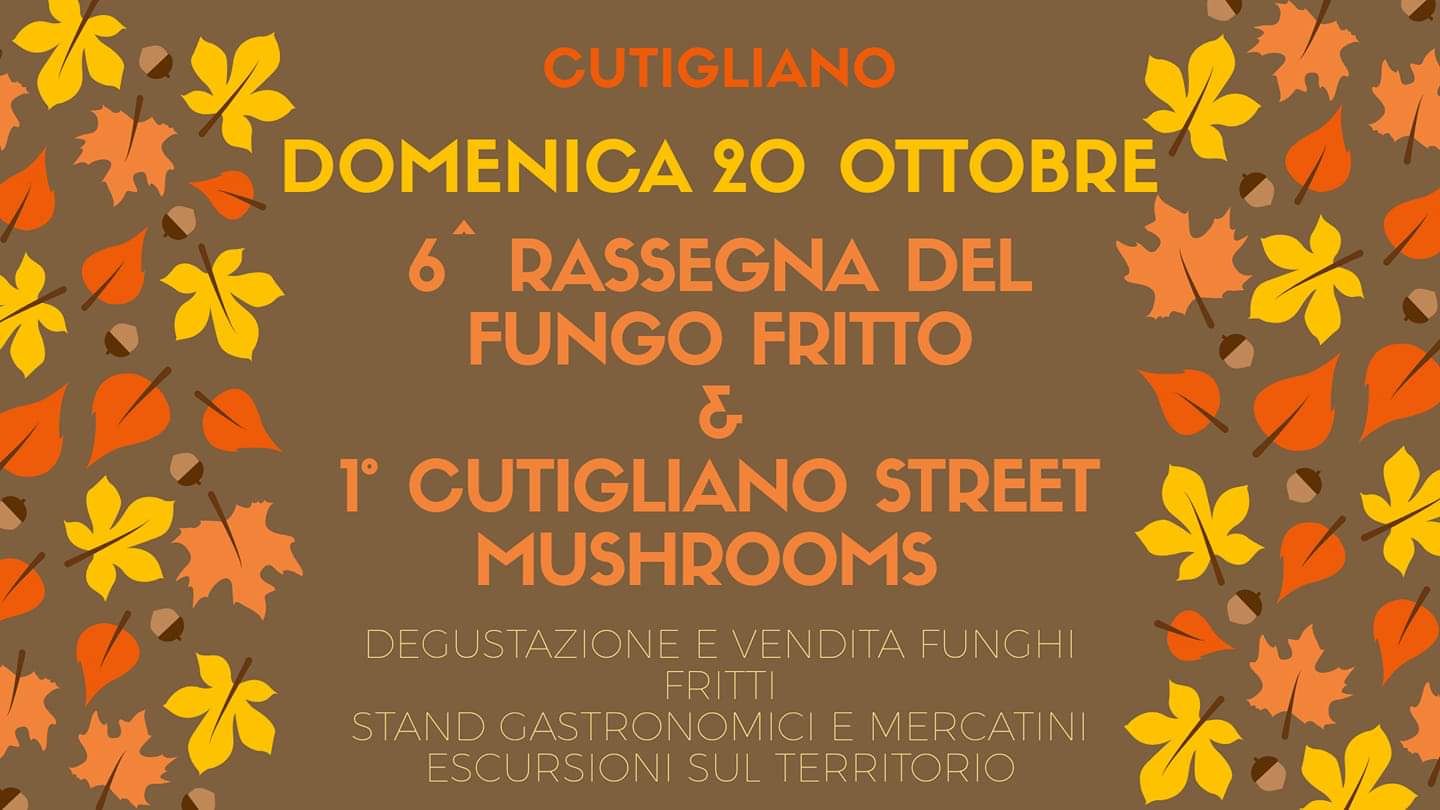 6° Rassegna del fungo fritto & 1° Cutigliano Street Mushrooms