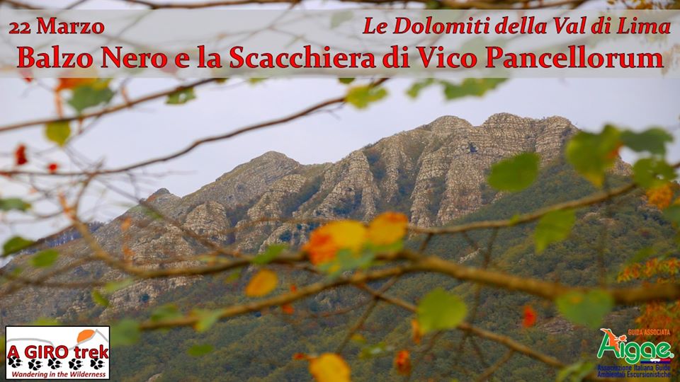 Balzo Nero e la Scacchiera di Vico Pancellorum