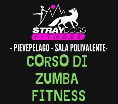 Corso di Zumba Fitness