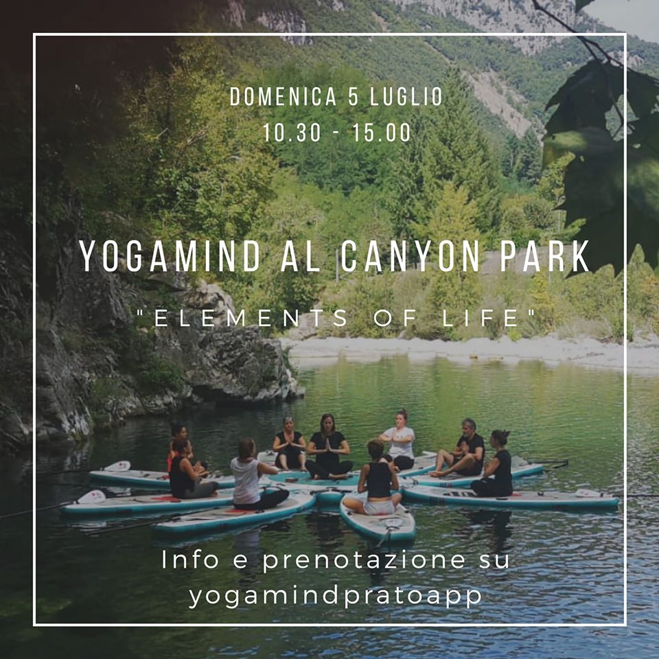 Yogamind Al Canyon Park: Elements Of Life