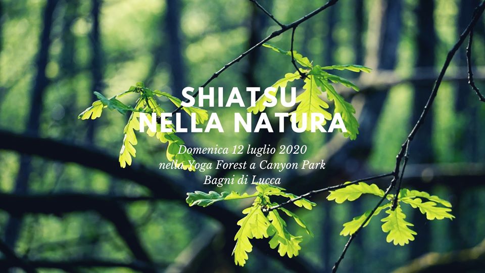 Shiatsu nella natura a Canyon Park