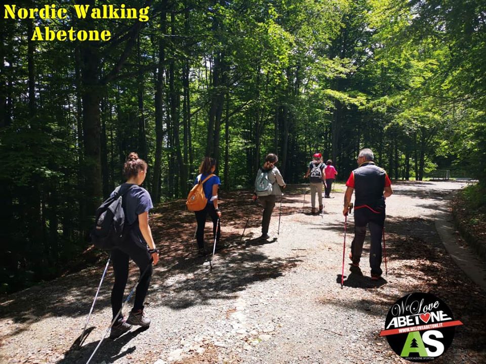 Nordic Walking Con Pranzo Nel Bosco