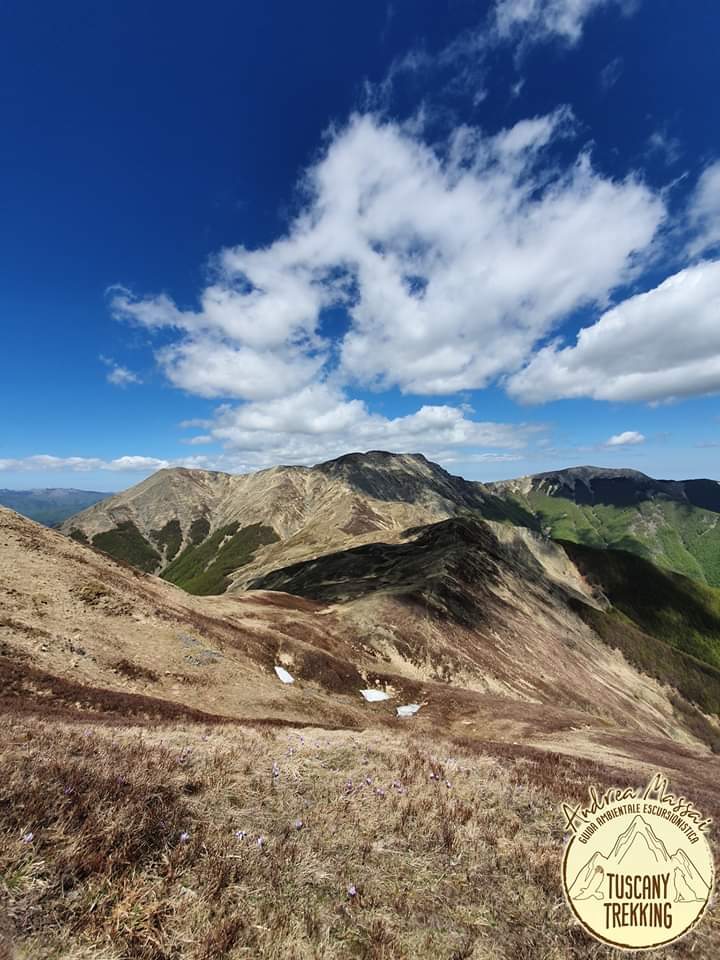 Sulle tracce dei Malandrini