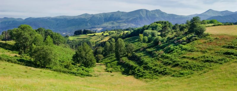 Escursione in oasi Dynamo