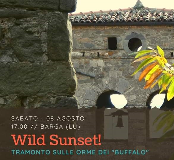 Wild Sunset! Tramonto sulle orme dei “Buffalo”