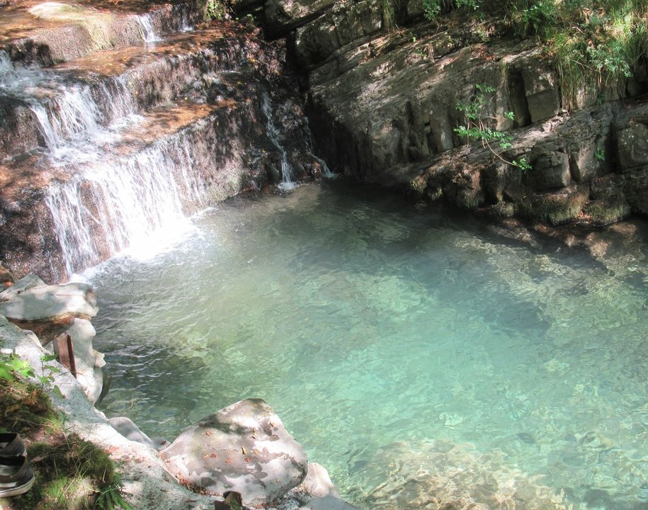 Acqua Pace e Ortensie