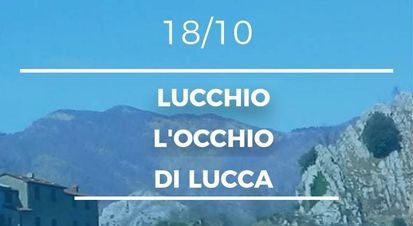 Lucchio l’occhio di Lucca!