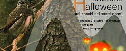 Speciale “notte di Halloween”!