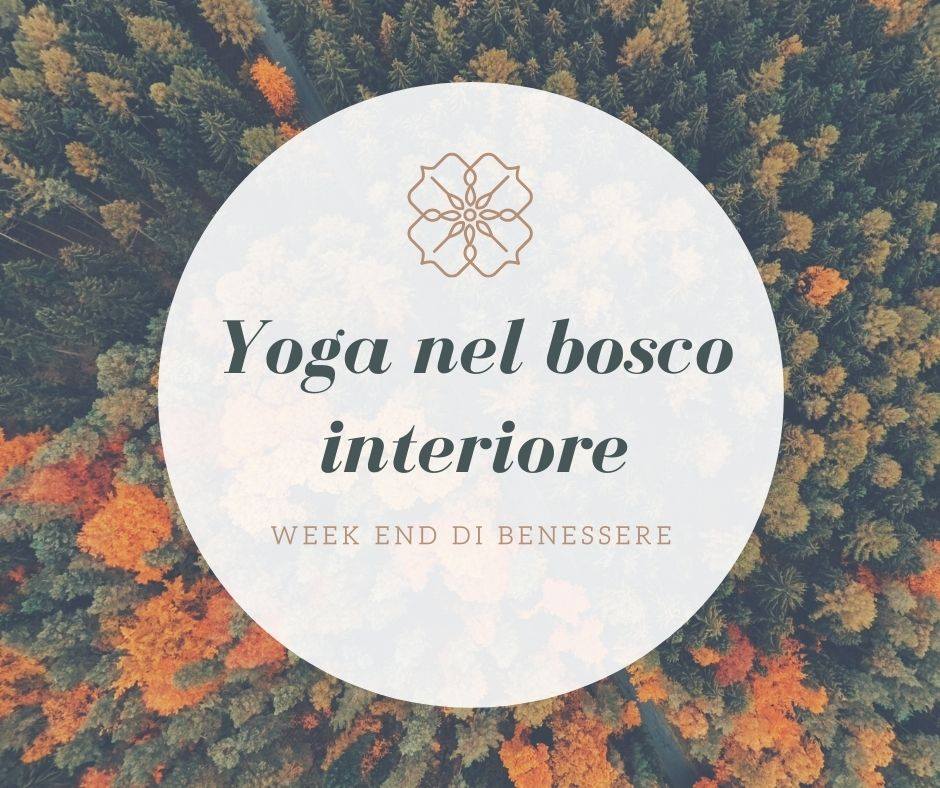 Yoga e immersione nel bosco interiore