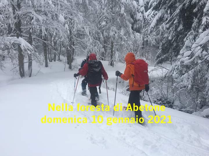 Con le racchette da neve nella foresta di Abetone