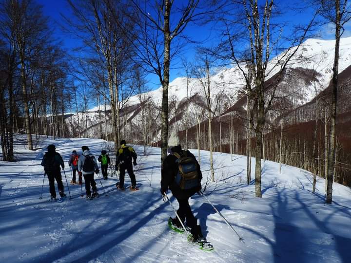 Con le ciaspole nel bosco dell’Abetone