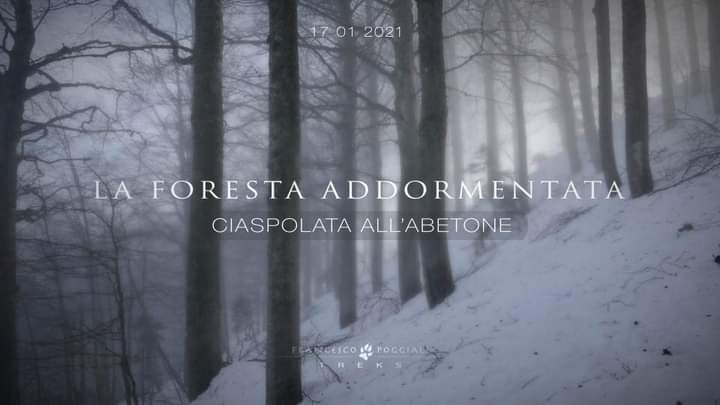 La foresta addormentata – Ciaspolando all’Abetone