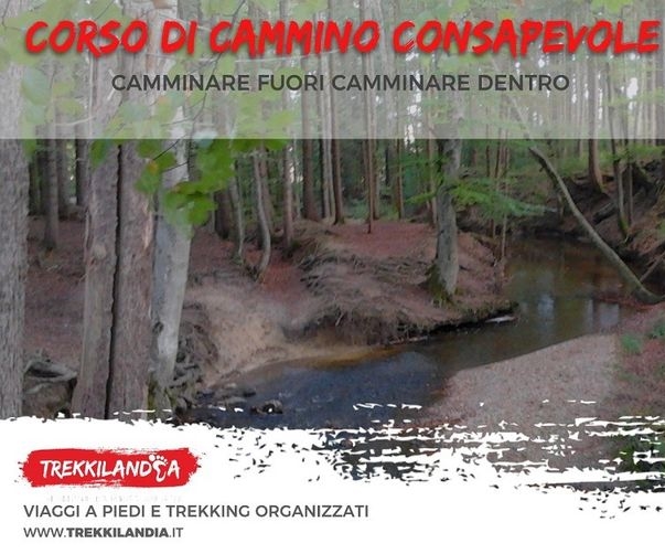 CAMMINO CONSAPEVOLE