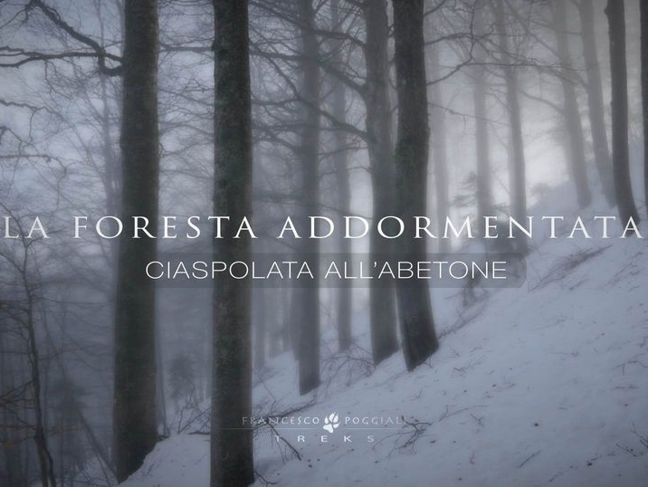 La foresta addormentata – Ciaspolata all’Abetone