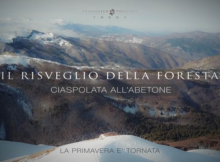 Il risveglio della foresta – Ciaspolata all’Abetone