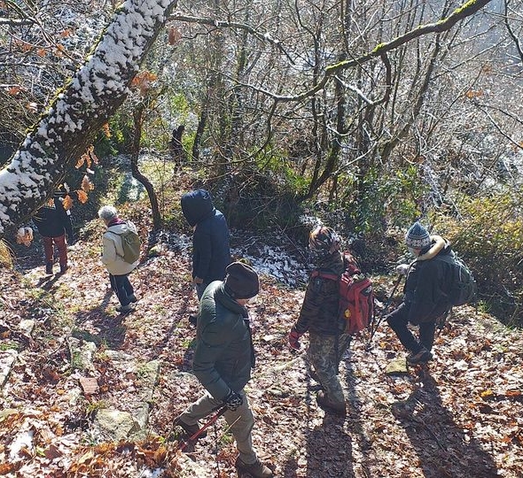 Trekking nel bosco Monti di Villa