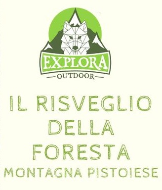 Il risveglio della foresta