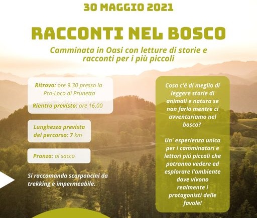 Racconti nel bosco