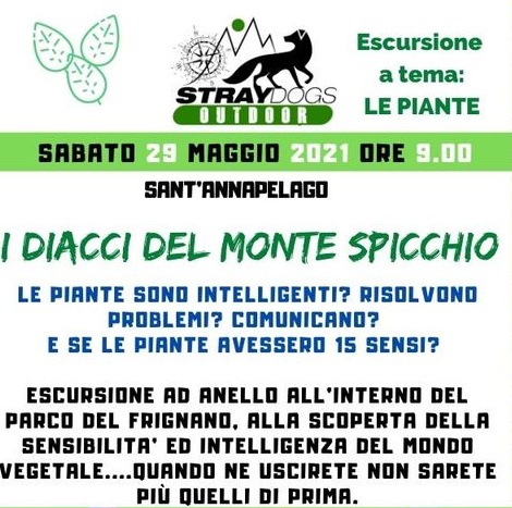 I Diacci del Monte Spicchio