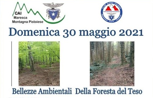 Bellezze ambientali della Foresta del Teso